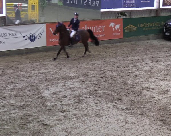 11. Nordic Jumping event Negernbötel 2023