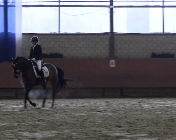 Reitturnier Hellefeld 2023