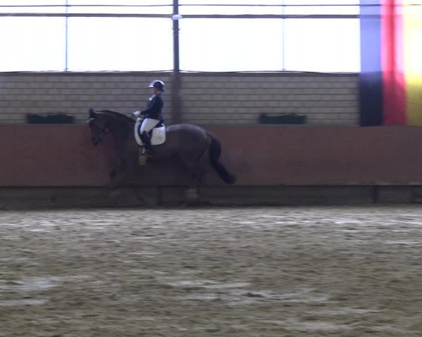 Reitturnier Hellefeld 2023