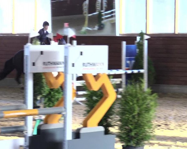 Reitturnier Coesfeld/Lette 2021
