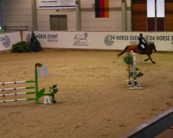 Reitturnier Prussendorf 2023