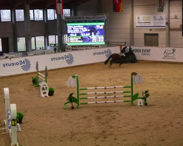 Reitturnier Prussendorf 2023