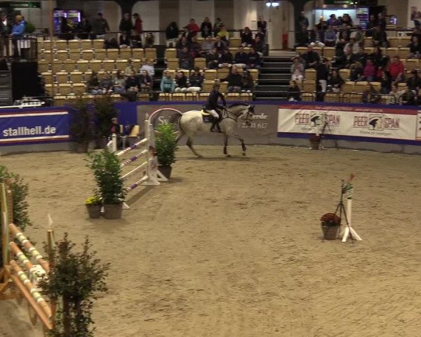 FEI Reitturnier Neumünster (GER) 2021