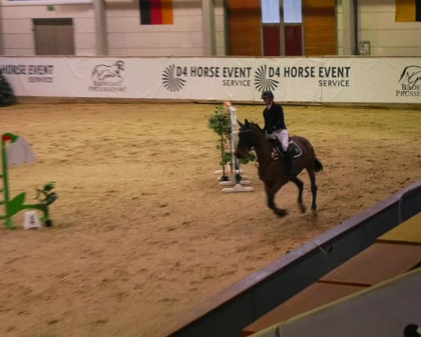 Reitturnier Prussendorf 2023