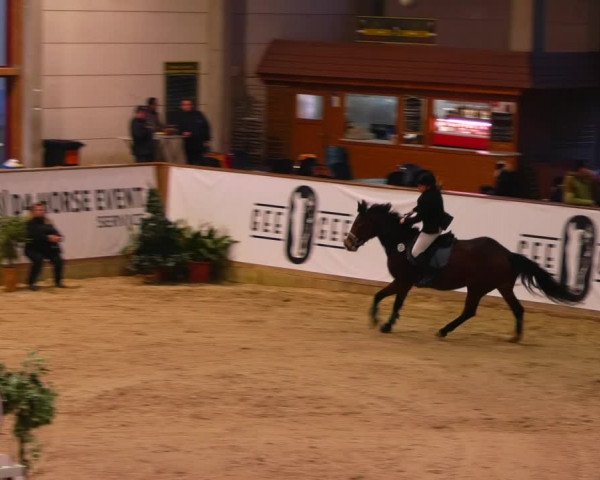 Reitturnier Prussendorf 2023