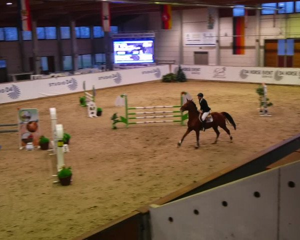 Reitturnier Prussendorf 2023