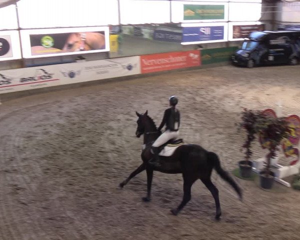 11. Nordic Jumping event Negernbötel 2023