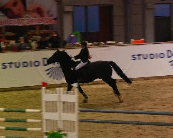 Reitturnier Prussendorf 2023