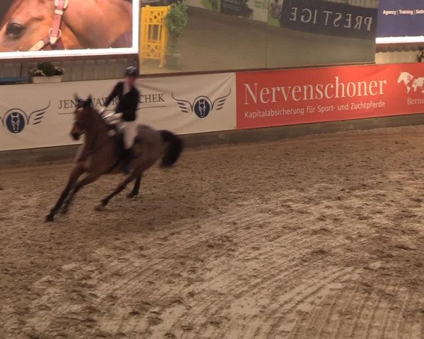 11. Nordic Jumping event Negernbötel 2023