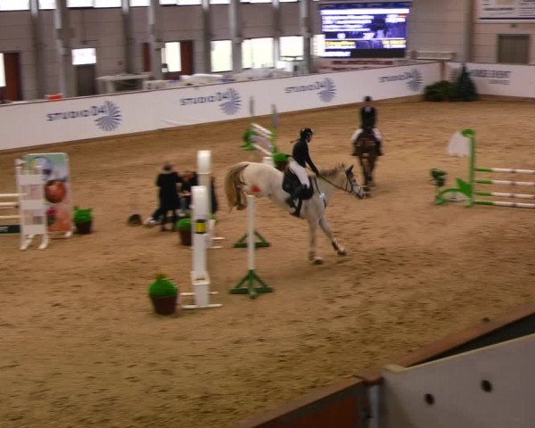 Reitturnier Prussendorf 2023