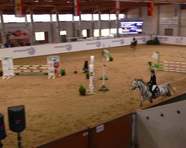 Reitturnier Prussendorf 2023