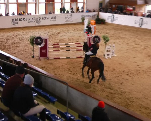 Reitturnier Prussendorf 2023