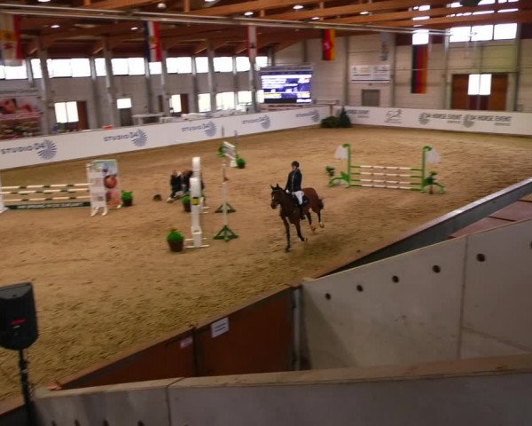 Reitturnier Prussendorf 2023