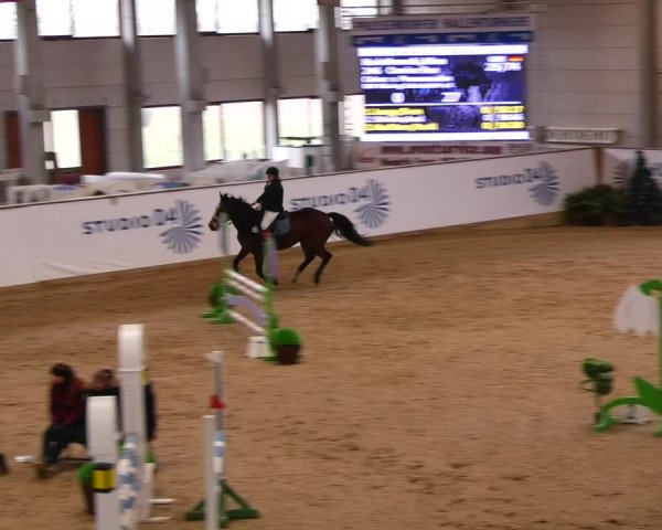 Reitturnier Prussendorf 2023
