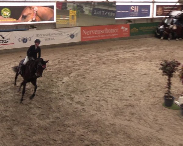 11. Nordic Jumping event Negernbötel 2023