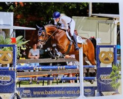 jumper Lakita 13 (Hanoverian, 2016, from Perigueux)
