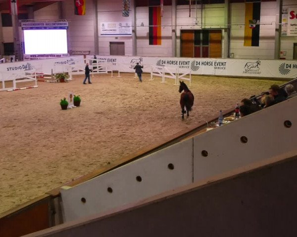 Mitteldeutscher Freispringwettbewerb 2023