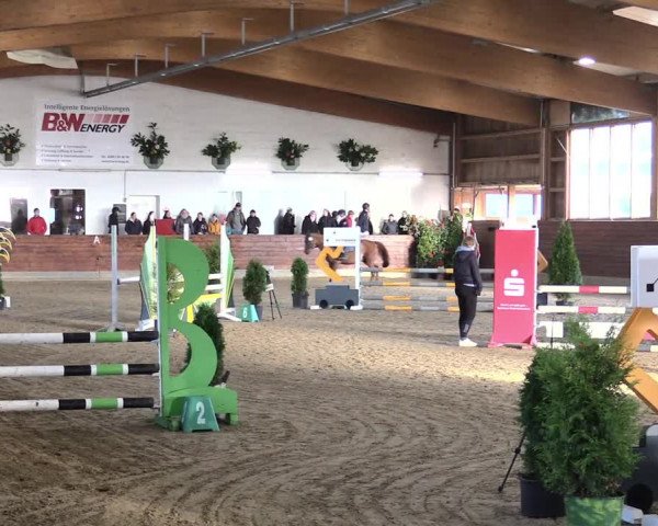 Reitturnier Coesfeld/Lette 2021