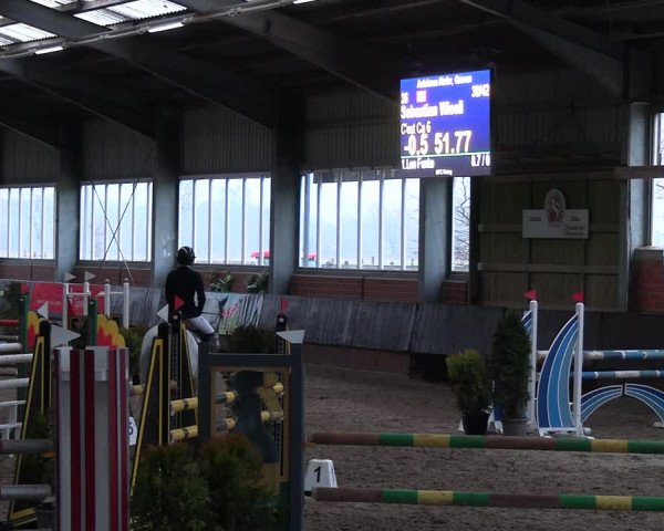 Reitturnier Greven 2023