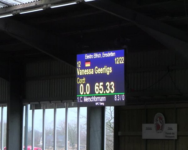 Reitturnier Greven 2023