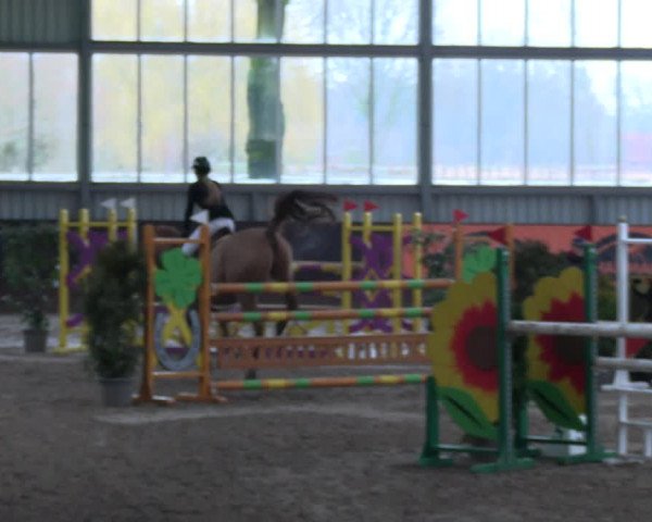 Reitturnier Greven 2023
