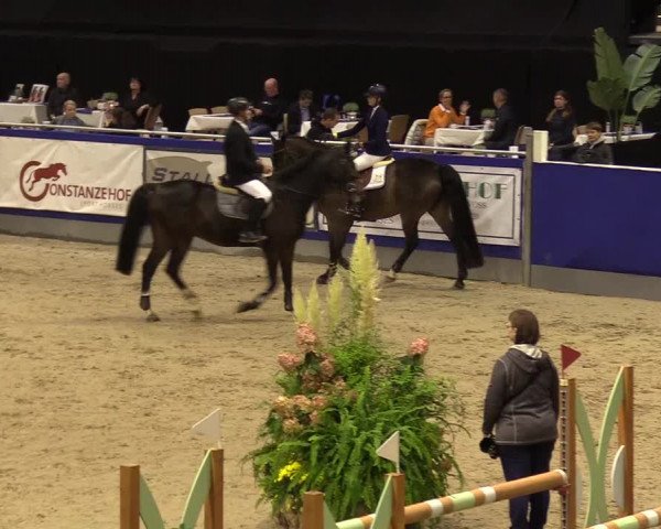 FEI Reitturnier Neumünster (GER) 2021