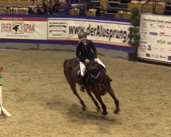 FEI Reitturnier Neumünster (GER) 2021