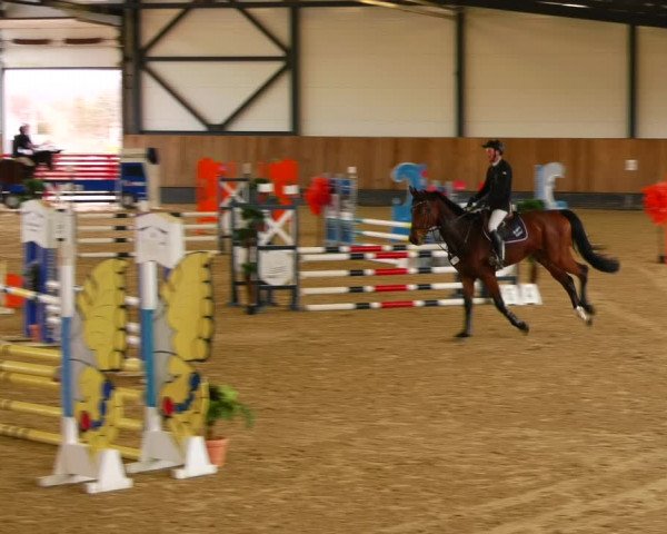 Reitturnier Zwickau 2023