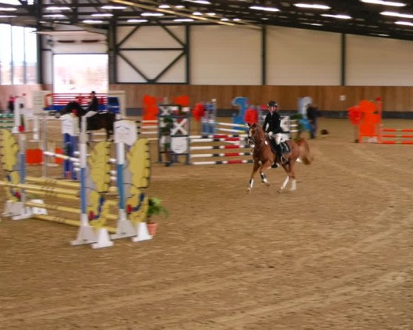 Reitturnier Zwickau 2023