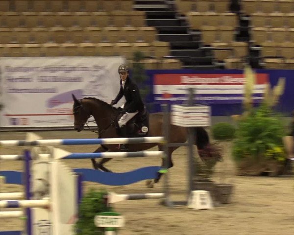 FEI Reitturnier Neumünster (GER) 2021