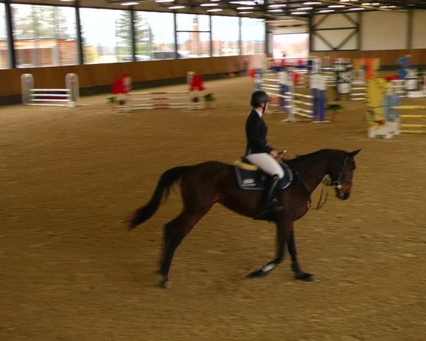 Reitturnier Zwickau 2023