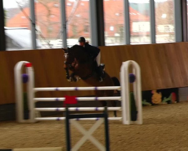 Reitturnier Zwickau 2023