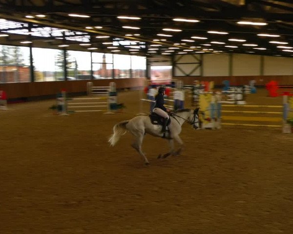 Reitturnier Zwickau 2023