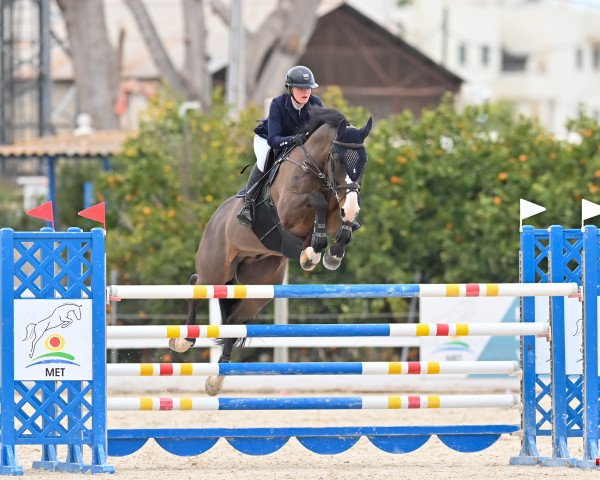 jumper Stabuck (Oldenburg, 2007, from Stakkato Gold)