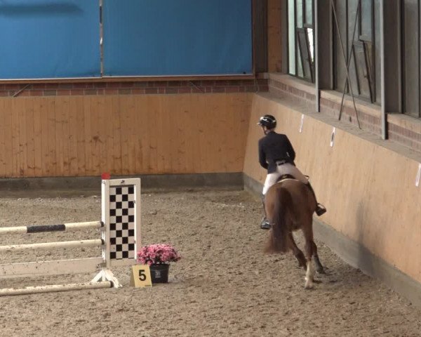 Reitturnier Osterholz 2023
