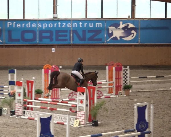 Reitturnier Osterholz 2023
