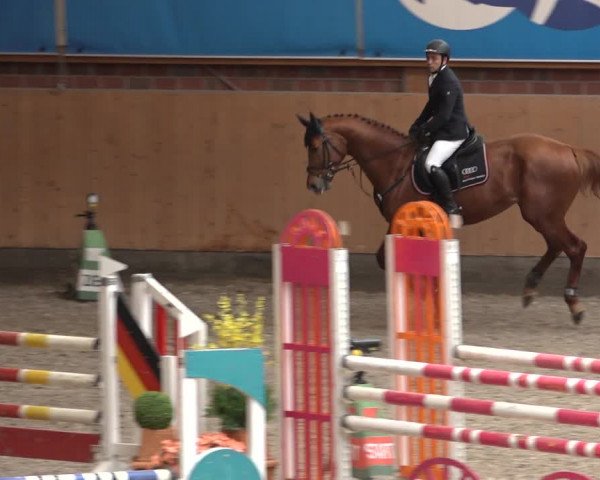 Reitturnier Osterholz 2023