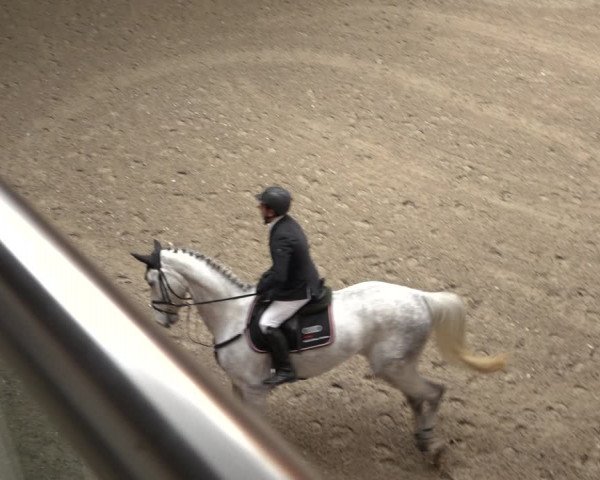 Reitturnier Osterholz 2023