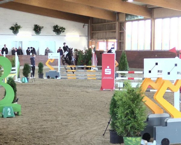 Reitturnier Coesfeld/Lette 2021