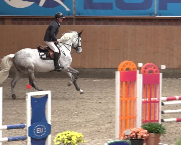 Reitturnier Osterholz 2023