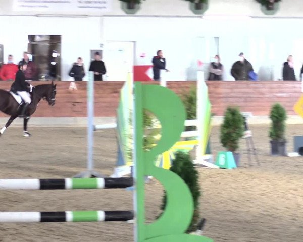 Reitturnier Coesfeld/Lette 2021
