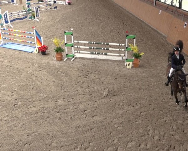 Reitturnier Osterholz 2023