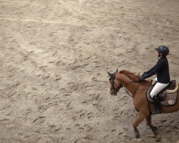 Reitturnier Osterholz 2023