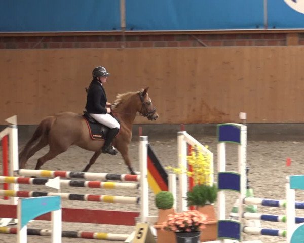 Reitturnier Osterholz 2023