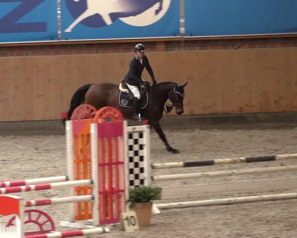 Reitturnier Osterholz 2023