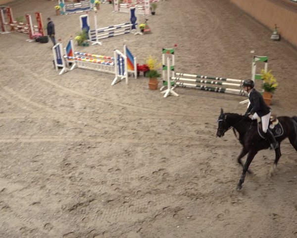 Reitturnier Osterholz 2023