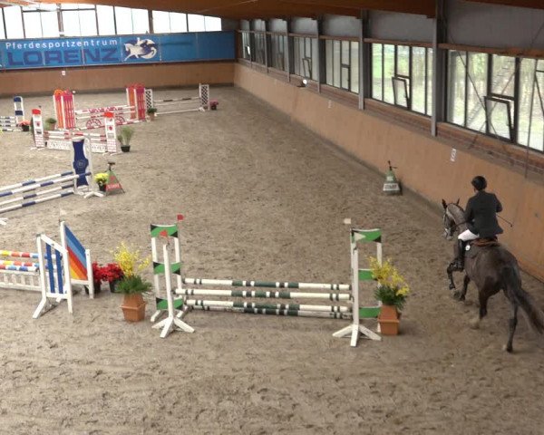 Reitturnier Osterholz 2023