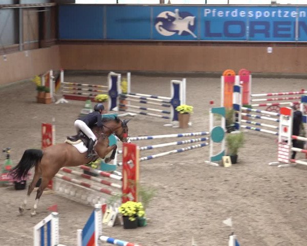 Reitturnier Osterholz 2023