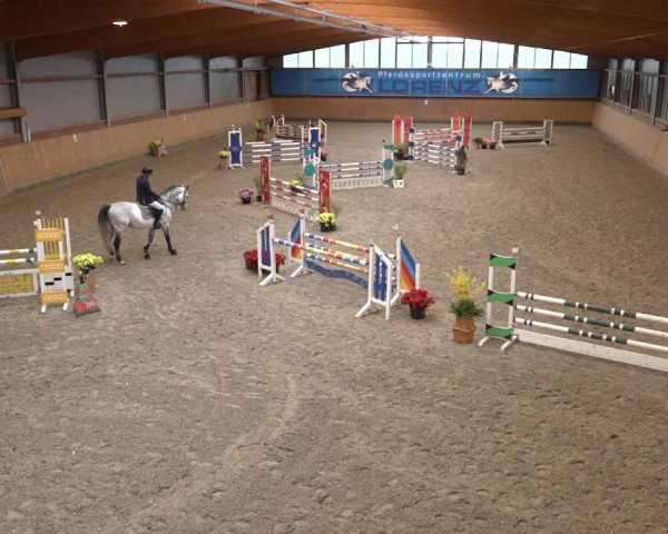 Reitturnier Osterholz 2023