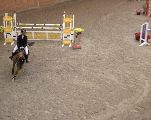 Reitturnier Osterholz 2023